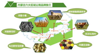 内蒙古绿色农畜产品展览交易会亮相广交会